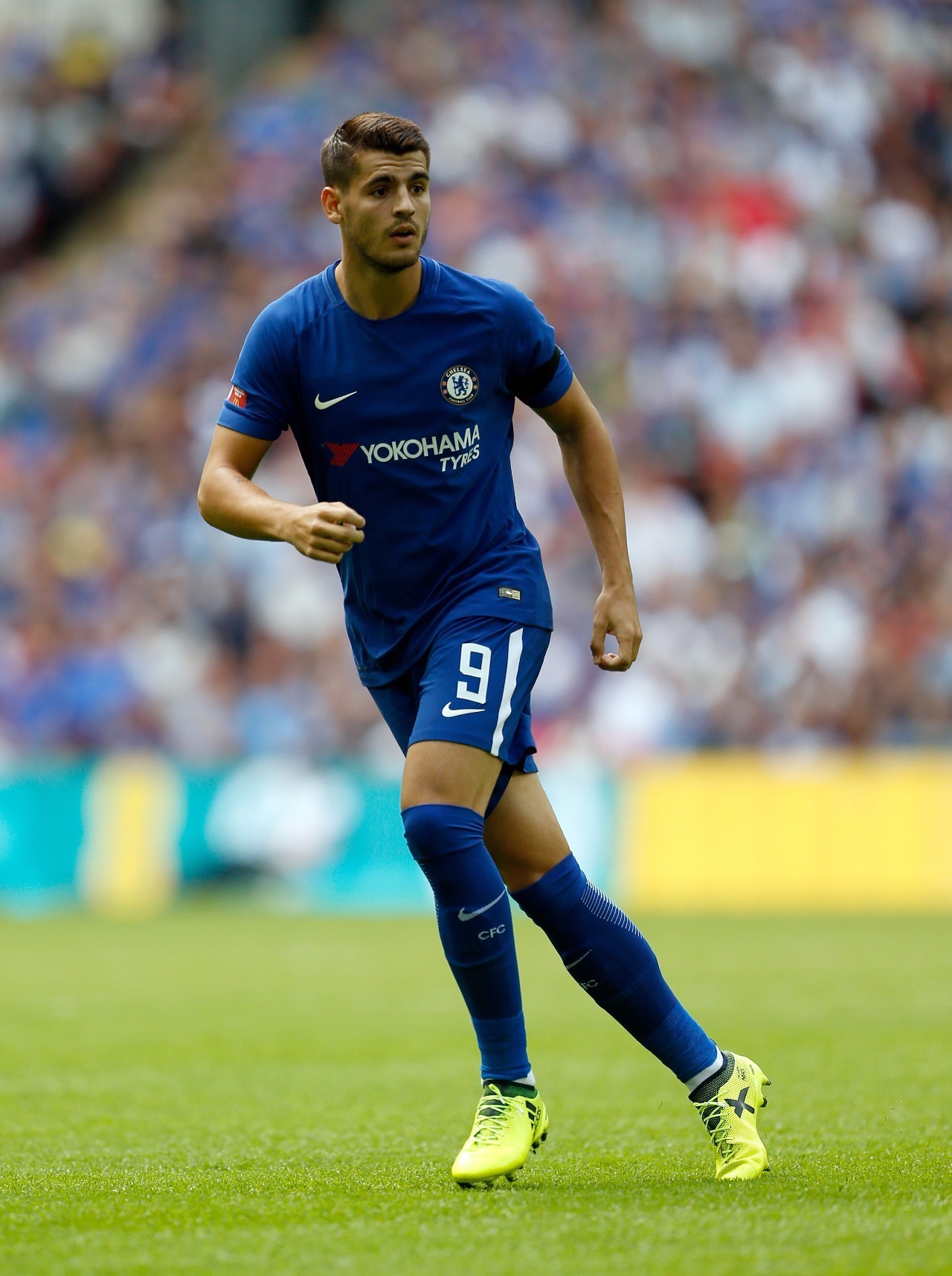 代表着坚韧 代表着坚韧